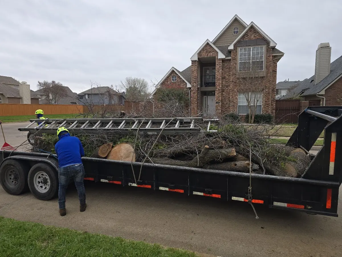 Expert Lot Clearing with proper safety equipment in Greeley